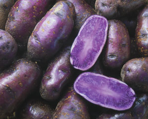 crazy-purple-spuds.png